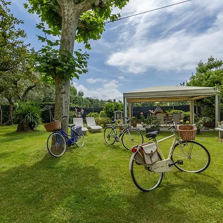 Clara - Ampio Giardino 8 Posti - Dei Marmi Villa